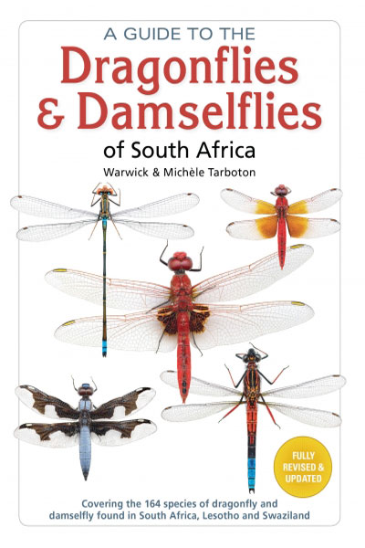 dragonfly tours south africa