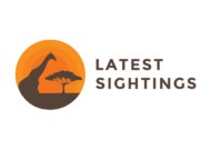 Latest sightings