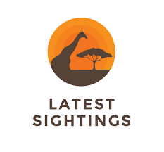Latest sightings for website