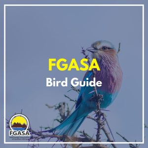 FGASA Bird Guide