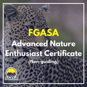 FGASA Advanced Nature Enthusiast Certificate (non-guiding)