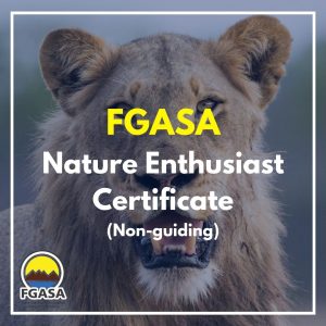 FGASA Nature Enthusiast Certificate (non-guiding)