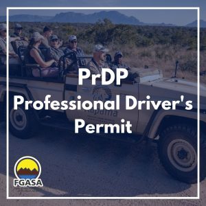 Professional Driver’s Permit