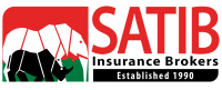 SATIB (Website) (1)